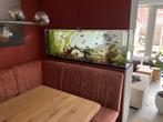 Groot, leeg aquarium incl frame/onderkast, Ophalen of Verzenden, Leeg aquarium