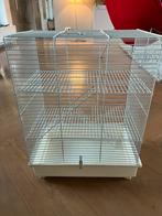 Kooi voor rat of muis gratis afhalen, Ophalen, Gebruikt, Aluminium, Overige typen