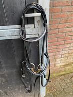 Anky hoofdstel maat cob, Dieren en Toebehoren, Paarden en Pony's | Hoofdstellen en Tuigage, Ophalen of Verzenden, Zo goed als nieuw