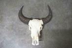 Buffel schedel 2, Western Deco, Echte buffelschedel