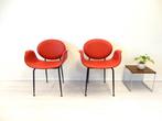 design stoelen Fasem leer Italiaans fauteuil, Gebruikt, Twee, ., Vintage