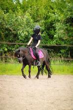 Lieve werkwillige allround pony te koop, Dieren en Toebehoren, Merrie, Ingeënt