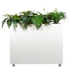 Roomdivider plantenbak (Palmberg) groot,verrijdbaar robuust, Ophalen