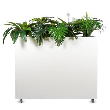 Roomdivider plantenbak (Palmberg) groot,verrijdbaar robuust beschikbaar voor biedingen
