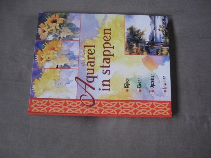 Alan Oliver - Aquarel in stappen (gebonden - nieuw), Hobby en Vrije tijd, Schilderen, Nieuw, Overige typen, Ophalen of Verzenden