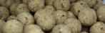 Tijgernoot Boilie 20mm (Boilies) - 5kg, Verzenden, Nieuw, Overige typen