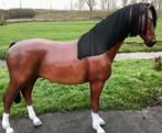 Paarden Kunstbeelden op Ware Grootte!, Ophalen of Verzenden, Nieuw, Kunststof, Dierenbeeld