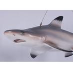 Shark Tip Reef Black beeld – Haai Lengte 115 cm, Ophalen, Nieuw