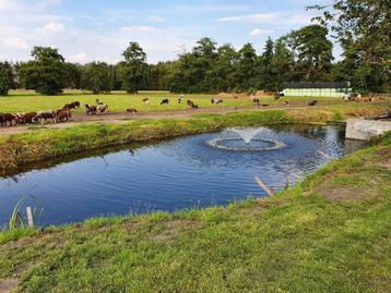 vijverfontein/ vijverbeluchter voor een gezondere vijver beschikbaar voor biedingen