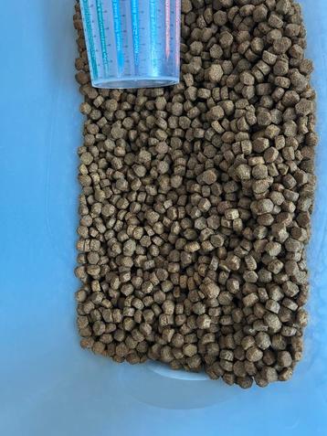 Eukanuba puppy large Kip. beschikbaar voor biedingen