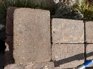 Ongeveer 10m2 gratis grijze terras stenen 30x20 beschikbaar voor biedingen