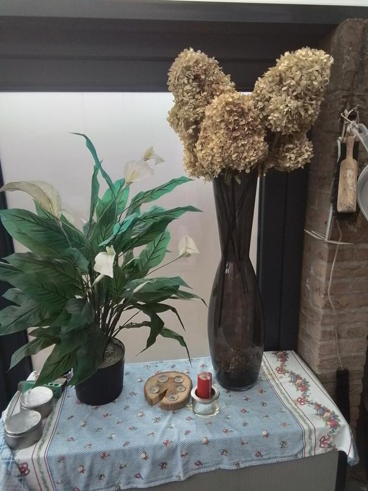 Donkere Vaas met Kunstplant samen 10 euro, Huis en Inrichting, Woonaccessoires | Vazen, Gebruikt, Zwart, 75 cm of meer, Glas, Ophalen of Verzenden