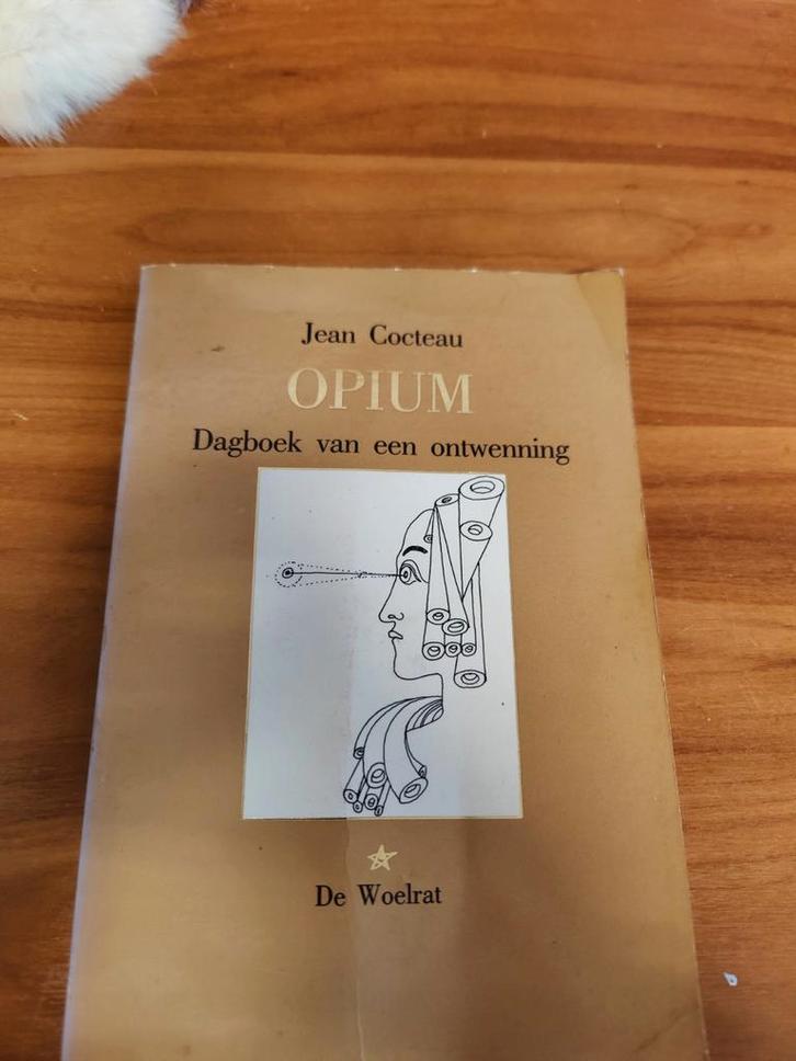 Jean Cocteau - Opium: Dagboek van een Ontwenning (1986), Boeken, Literatuur, Gelezen, Ophalen