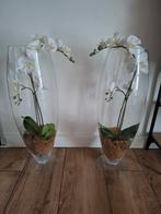 Kunst orchideeën in vaas, Ophalen, Overige kleuren, Minder dan 50 cm, Glas