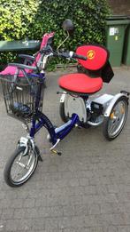 Elektrische driewieler Van Raam Easy Go, Van Raam Easy go, Gebruikt, Ophalen