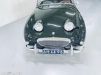 Austin Healey Sprite ( Kikkeroog) 1960 gerestaureerd !!, Zwart, Cabriolet, Bedrijf, Handgeschakeld