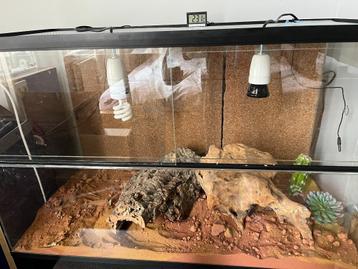 Terrarium 80x40x50 met inrichting beschikbaar voor biedingen
