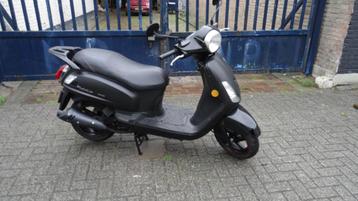 La souris ,Sym Fiddle ,berini 25km/h 4T bouwjr  2019 €495.00 beschikbaar voor biedingen