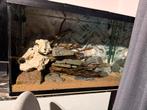Mooi start aquarium ongeveer 160 liter, Dieren en Toebehoren, Ophalen, Gebruikt, Leeg aquarium
