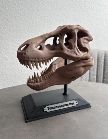 3D T-Rex schedel – resin print, afwerking mogelijk beschikbaar voor biedingen