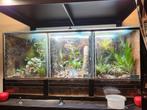 Terrarium 85x40x40, Ophalen, Zo goed als nieuw, Terrarium of Paludarium