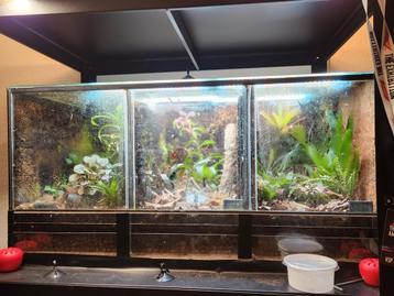 Terrarium 85x40x40 beschikbaar voor biedingen