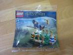 Lego 30651 Zwerkbal training Harry Potter. Nieuw!!, Kinderen en Baby's, Speelgoed | Duplo en Lego, Verzenden, Nieuw, Complete set