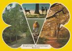 REUVER Bungalowpark De Lommerbergen, Verzamelen, Ansichtkaarten | Nederland, Verzenden, 1980 tot heden, Gelopen, Limburg