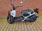 Honda NPS 50. Zoomer, Ophalen, Gebruikt, Overige modellen, Maximaal 45 km/u
