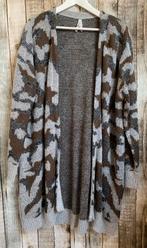 Super mooi vest van Miss Etam (Maat 52), Verzenden, Trui of Vest, Miss Etam, Grijs