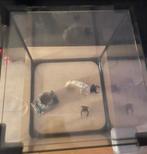 Superfish aquarium, Dieren en Toebehoren, Ophalen, Leeg aquarium