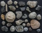 Lot fossielen-2 (klein prijsje), Verzamelen, Mineralen en Fossielen, Ophalen of Verzenden, Fossiel