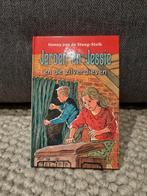 Jeroen en Jessie en de zilverdieven, Ophalen of Verzenden, Zo goed als nieuw, Hanny van de Steeg-Stolk, Fictie algemeen