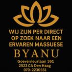 vacature masseuse, Diensten en Vakmensen, Welzijn | Masseurs en Massagesalons, Stoelmassage