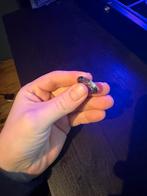 Buddha to buddha ring | goud | 19, Dieren en Toebehoren, Reptielen en Amfibieën, 0 tot 2 jaar