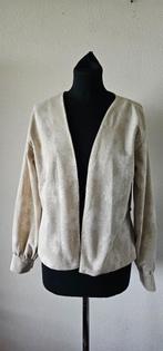 beige vest van Fabienne Chapot maat s (14825), Ophalen of Verzenden, Zo goed als nieuw, Beige