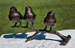3 VOGELS OP TAK / BRONZEN TUINBEELD / MUSSEN, Dierenbeeld, Nieuw, Info@huisentuindecoratiemarie.nl, Huis en tuin decoratie marie