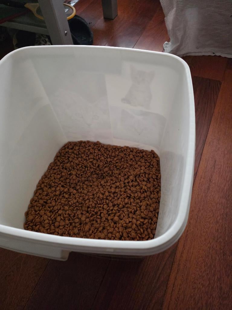 Kattenvoer ProPan Renal, nat en droog voer, Dieren en Toebehoren, Ophalen, Kat