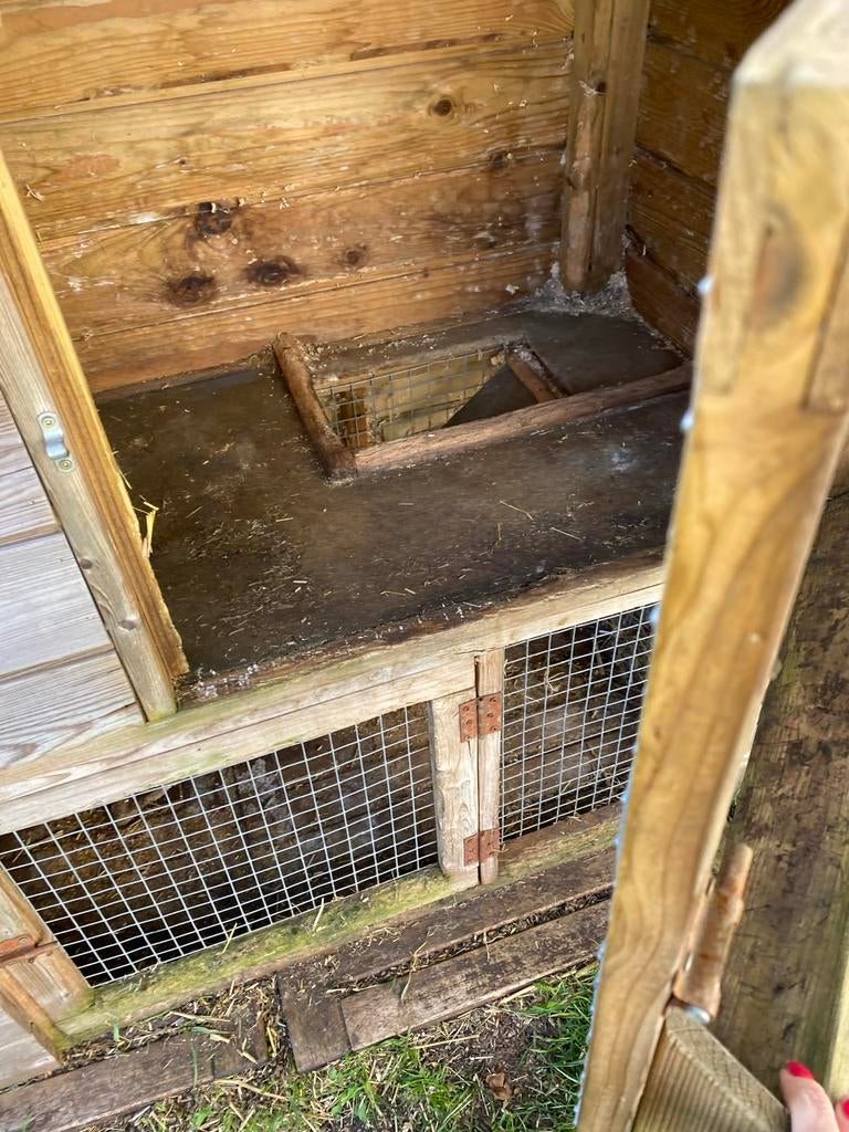 Konijnenhok, Ophalen, 90 cm of meer, Hok, 110 cm of meer