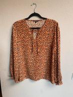Top maat L merk Jazlyn, Kleding | Dames, Ophalen of Verzenden, Zo goed als nieuw, Maat 42/44 (L), Oranje