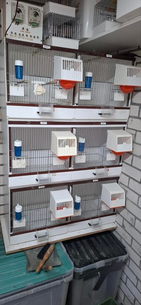 Bakker Broedkooien, Ophalen, Kunststof, Broedkooi of Kweekkooi