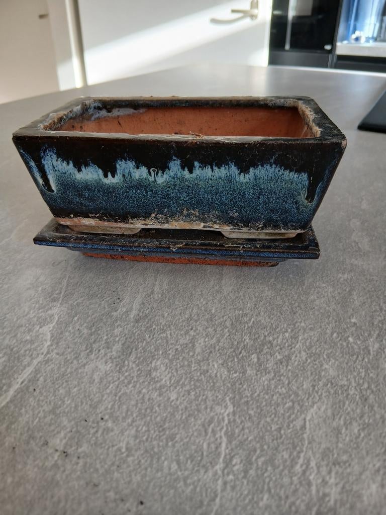 Gebruikte Bonsai Pot met Driptray - Vaste Prijs, Overige materialen, Gebruikt, Minder dan 30 cm, Minder dan 60 cm