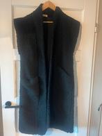 Lange zwarte teddy vest, bodywarmer, Kleding | Dames, Bodywarmers, Ophalen of Verzenden, Zo goed als nieuw, Zwart