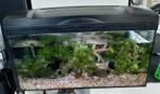 Mooi Aquarium met alle toebehoren!, Dieren en Toebehoren, Ophalen, Gebruikt, Gevuld zoetwateraquarium