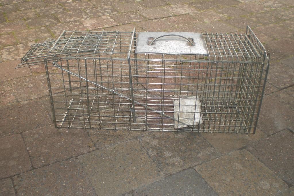 te koop marter vang kooi, Dieren en Toebehoren, Ophalen of Verzenden, Zo goed als nieuw, Metaal, Overige typen