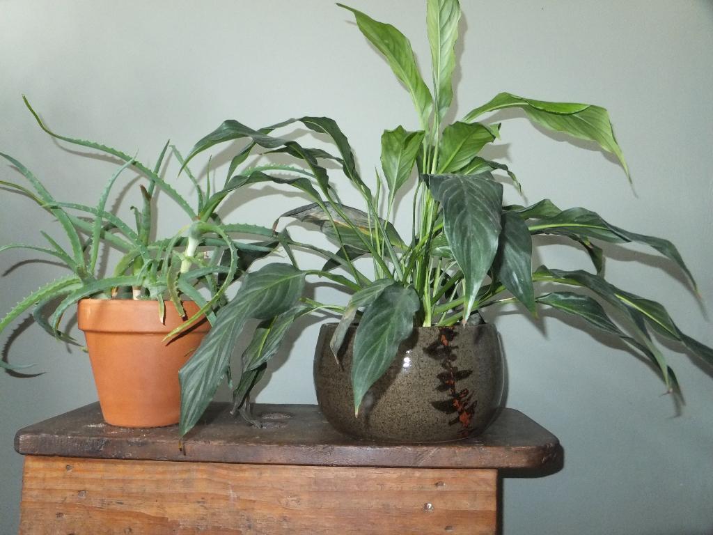 grote vintage bloempot, bruin-zwart-groen Oosterse stijl Ø19, Ophalen, Nieuw