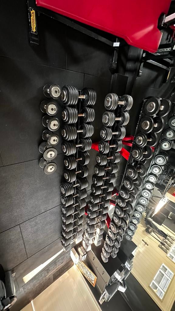 Dumbbell rack met dumbbells van 2 tot 52 kg, Ophalen, Gebruikt, Benen, Dumbbell