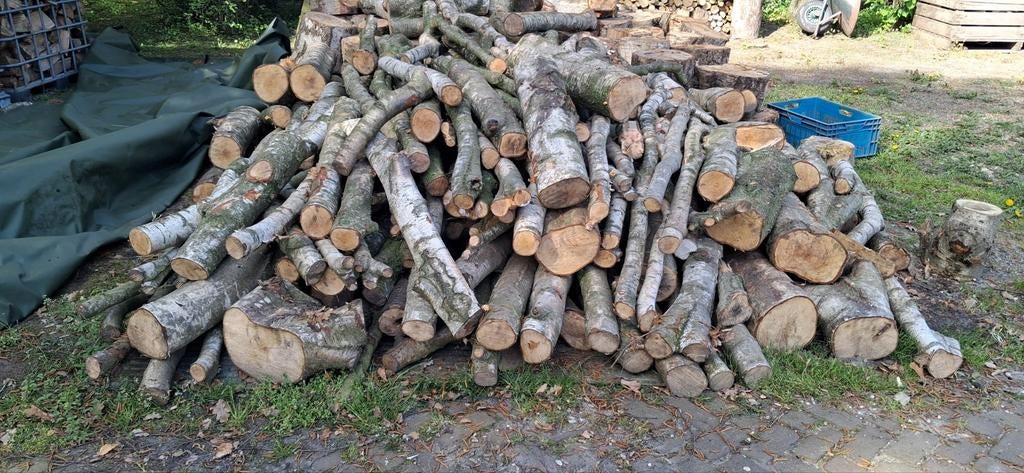 Berken, 6 m³ of meer, Ophalen of Verzenden, Berkenhout, Blokken