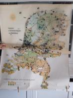 Oude schoolplaat, Ophalen, Natuur en Biologie