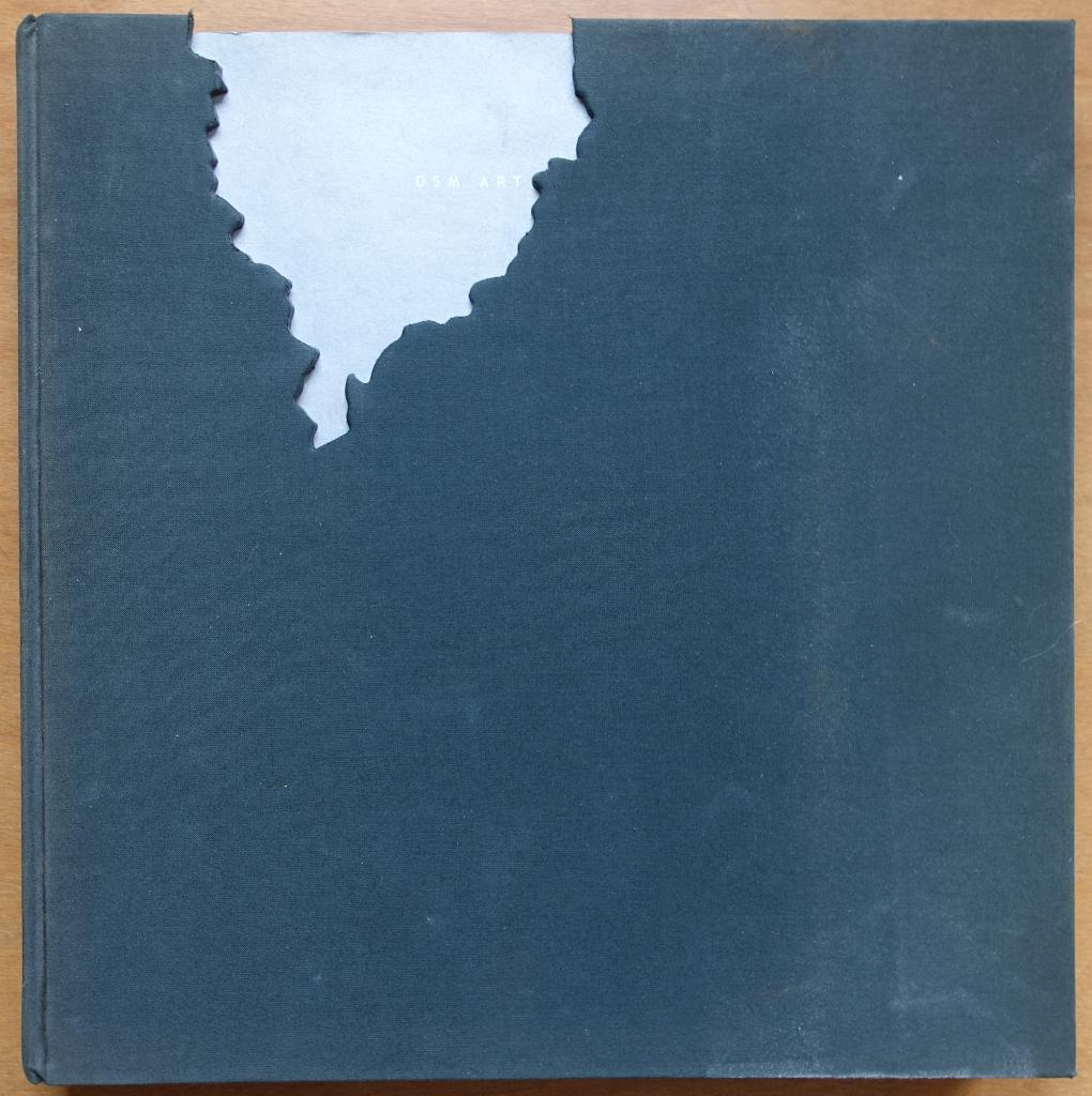 DSM art collection, Zo goed als nieuw, Schilder- en Tekenkunst, Alexander van Grevenstein, Verzenden